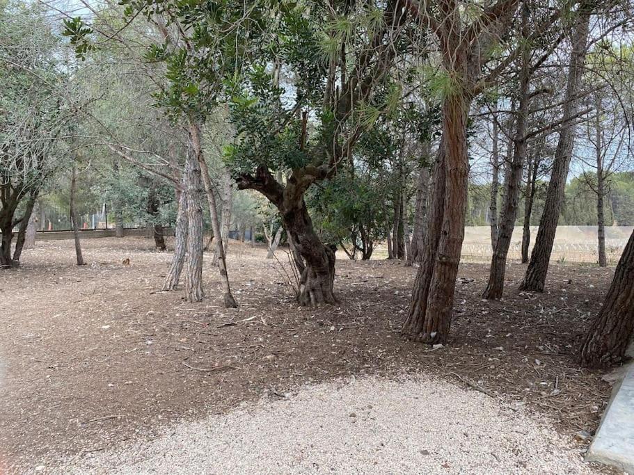 Villa Masia Con Bosque Privado Albinyana Exterior foto